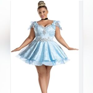 Plus Size Princess Costume